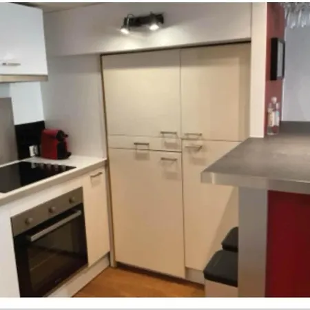 Newly Refurbished Parisian Loft In Center Appartement *